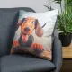 Decorative pillow Home Line Dachshund dog 45х45 cm 189236 (583) small