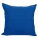 Decorative pillow with a separate cover with a zipper Home Line (blue) 35x35 cm 157068 small