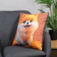 Decorative pillow Home Line Spitz dog 45х45 cm 189241 (598) small