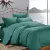 Double Satin Bedding Set Home Line Satin Lux Emerald Green 155264