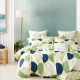 Family bedding set Home Line "SEGMENT" 176159 small